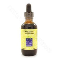Alchemilla xanthochlora - lady's mantle 2oz Wise Woman Herbals