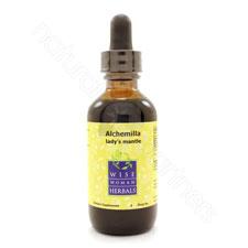 Alchemilla xanthochlora - lady's mantle 2oz Wise Woman Herbals