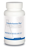 ChondroSamine-S - 90 C Biotics Research