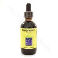 Eupatorium perfoliatum - boneset 2oz Wise Woman Herbals