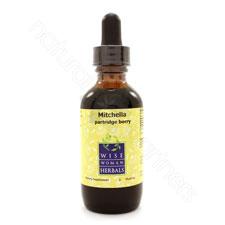 Mitchella repens - partridge berry 2oz Wise Woman Herbals