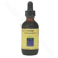 Solidago canadensis - Canadian goldenrod 2oz Wise Woman Herbals
