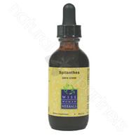 Spilanthes acmella - para cress 2oz Wise Woman Herbals