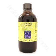 Spilanthes acmella - para cress 4oz Wise Woman Herbals