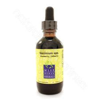 Vaccinium spp. - blueberry, bilberry 2oz Wise Woman Herbals