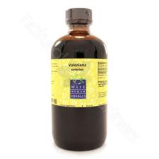 Valeriana officinalis - valerian 8oz Wise Woman Herbals
